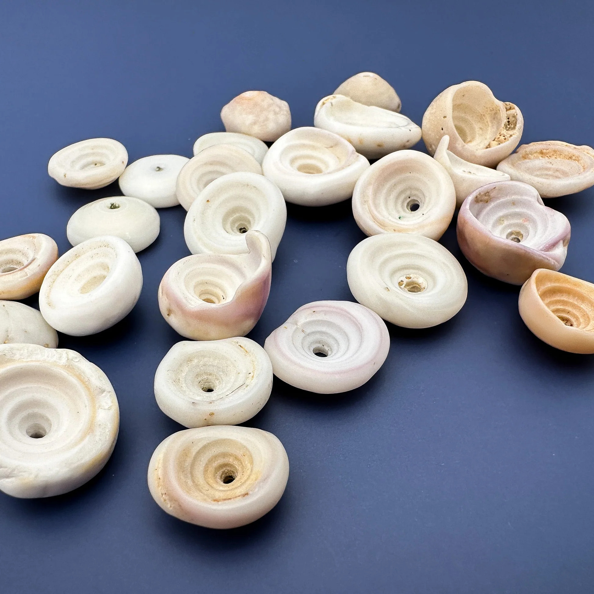 Shelling and Beachcombing on Kaua’i | Kauai Kahuna Vacation Rentals