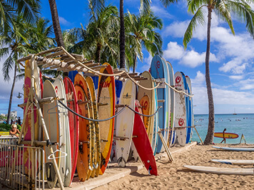 Surfboards for Rent
